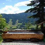 Pensión Alpenhof Schwaiger - Garni