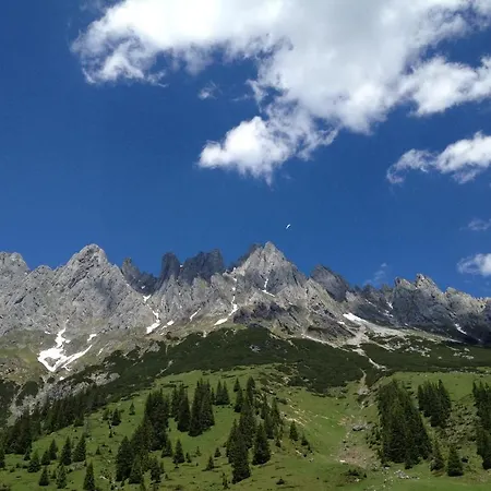 Gæstehus Alpenhof Schwaiger - Garni 3*