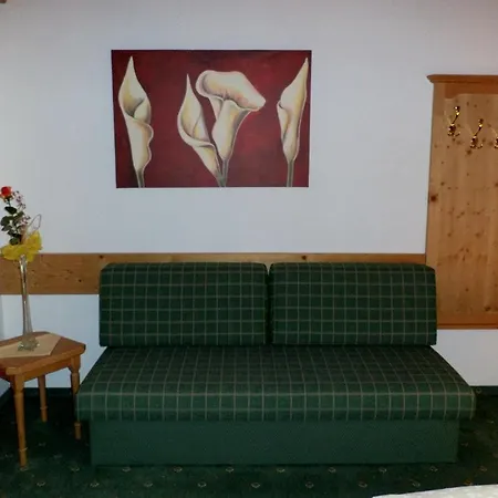Guest house Alpenhof Schwaiger - Garni Muhlbach Am Hochkonig