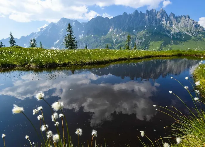 Alpenhof Schwaiger - Garni Pensión 3*